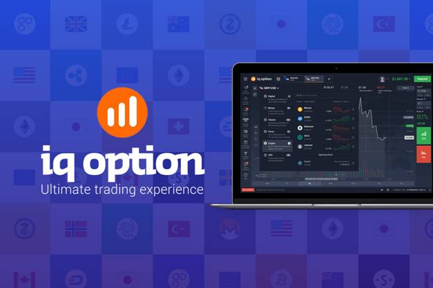 Comprehensive Review for Beginners: IQ Option