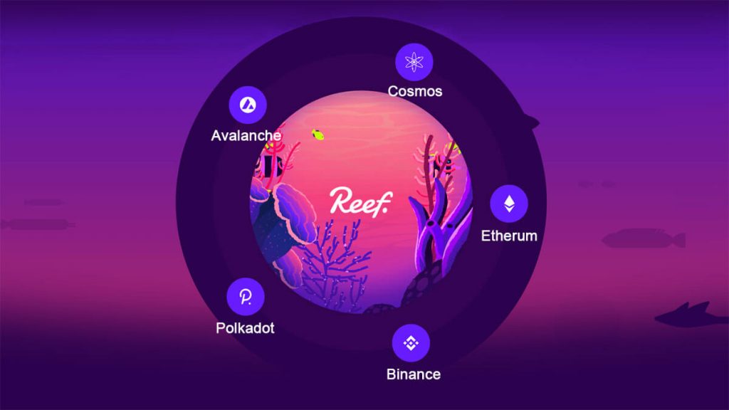  reef defi platform price finance mission accordingly 