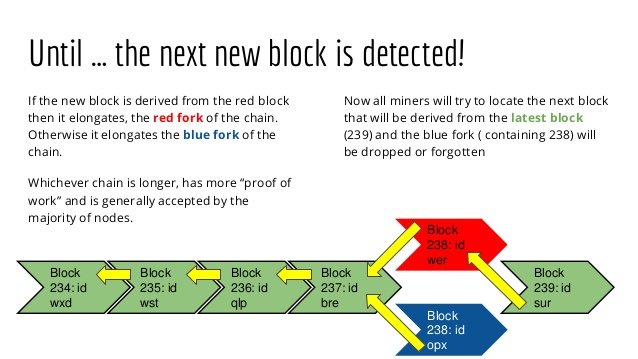 blockchain 2013 fork abandoned blocks