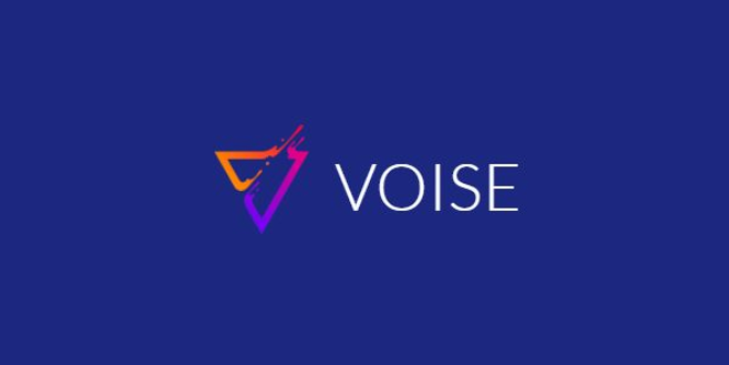 voise crypto