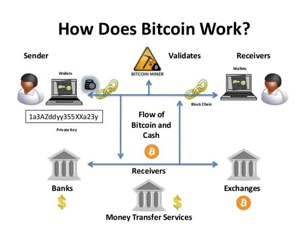 ripple vs ethereum vs bitcoin