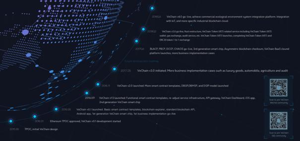 VeChain Team