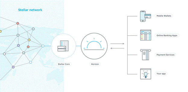 Stellar network 