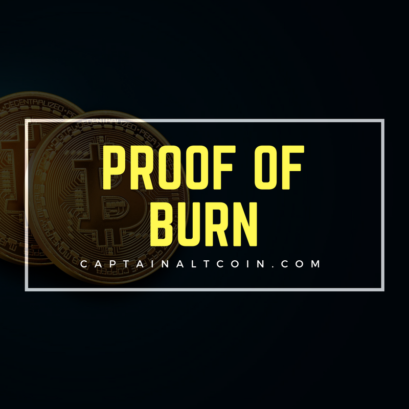 Alternative Consensus Methods: Proof of Burn | CaptainAltcoin