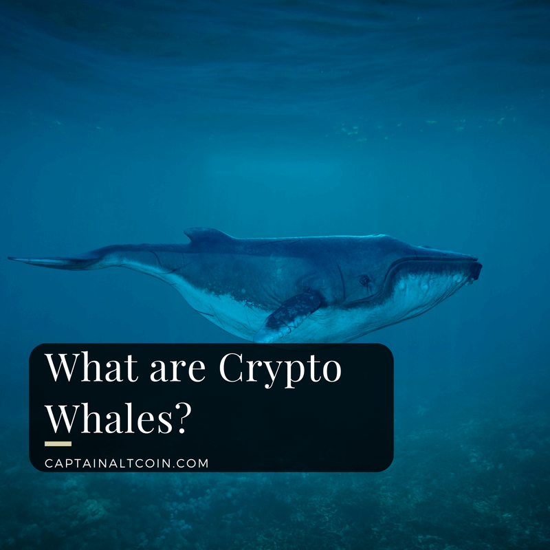 What are Crypto Whales