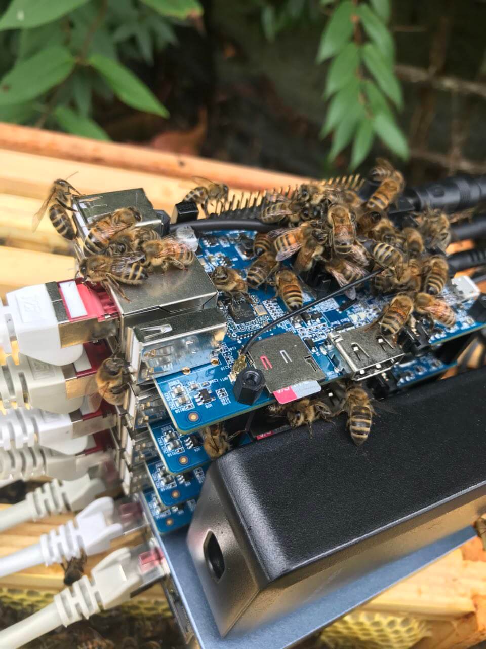 Skyminer