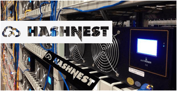 hashnest