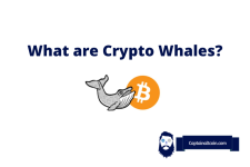 What are Crypto Whales? How They Affect Cryptocurrency Market?