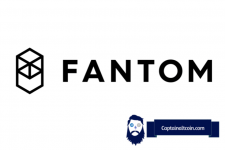 Fantom ($FTM) Prognose 2024 – 2025 – 2030