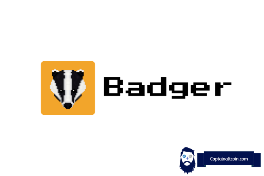 Badger Dao Review Price