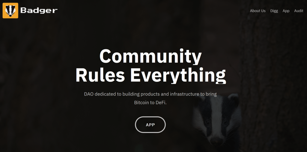 badger dao homepage