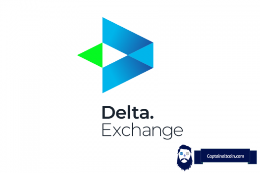 Delta exchange review