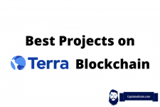 Best Project Terra