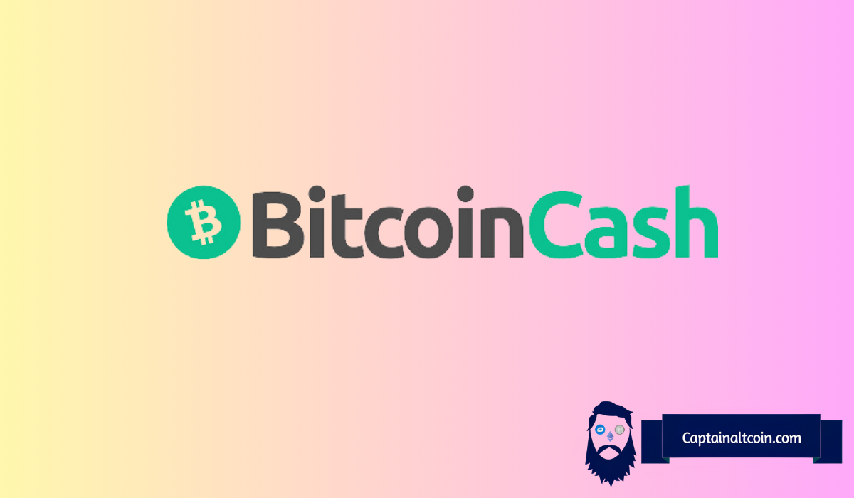 Best 19 Bitcoin Cash Wallets to Store BCH Safely