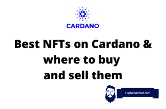 Die besten NFTs auf Cardano und wo man sie kaufen und verkaufen kann