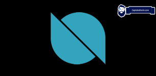 Best Ontology Wallets – What ONT Wallet to Choose?