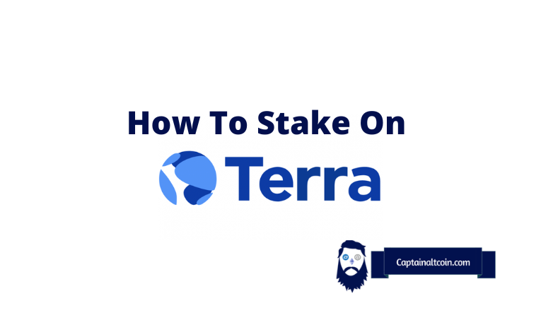 stake on terra