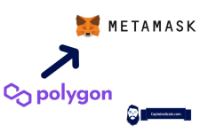 How To Add Polygon to MetaMask? Setting Up MATIC Network On MM