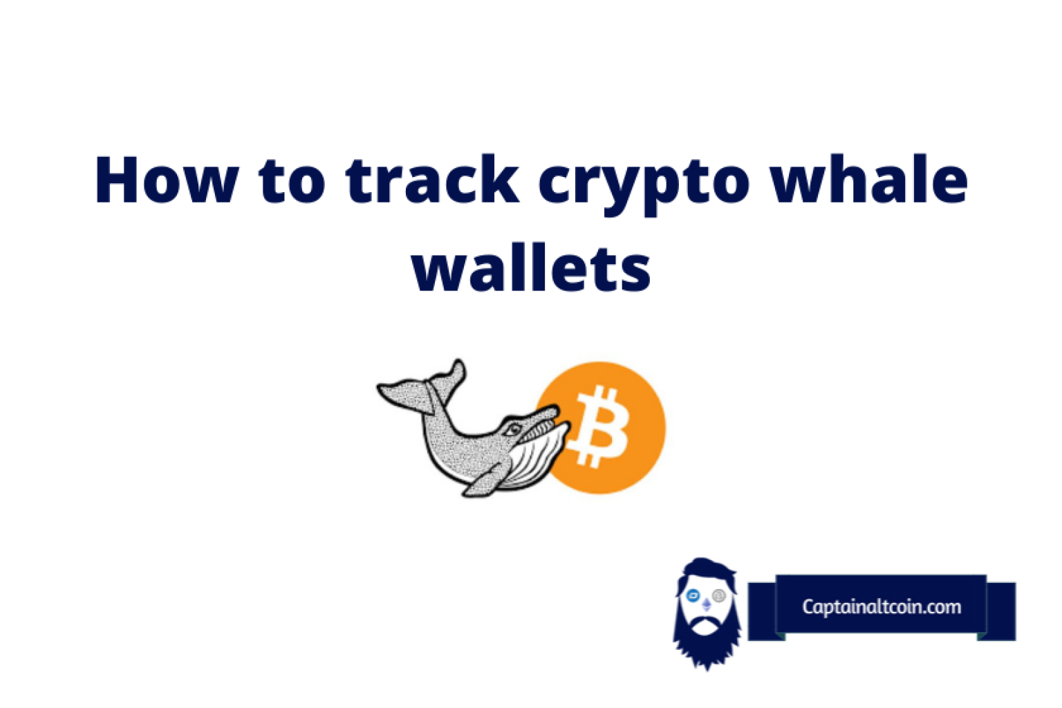 best crypto whale tracker