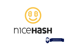 Nicehash Review – Is NiceHash Legit & Safe To Use? Is It Still Profitable?