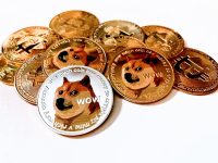 Dogecoin Holders Switch To NuggetRush Presale For Its Unmatched Profit Potential