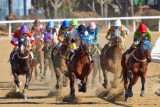 Best Horse-Racing NFT Games to Check Out in 2022