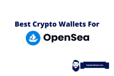 Best Crypto Wallets for OpenSea – What Wallets Can You Use With OpenSea?