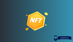 Earn Passive Income with your NFTs – NFT DeFi Staking