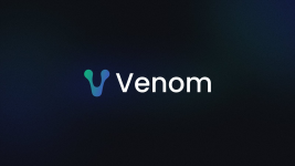 Venom Blockchain: A Scalable and Secure Solution for the Future of Decentralized Finance