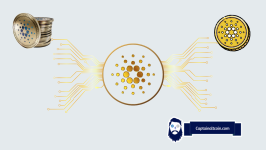 On-Chain Data Exposes Exactly Where Cardano Could Moon or Plummet Next