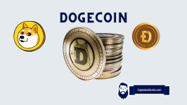 Dogecoin Price Crash: Here’s Why the Meme Coin King is Struggling – Expert