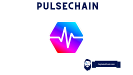 Richard Heart’s PulseChain: A Legitimate Investment or a Potential Scam?