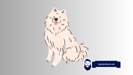 Once Samoyedcoin Momentum Slows: Which Meme Coin Will Take the Throne Next?