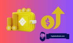 You See a Coin Went 600%+, but Are You Too Late? The Trick is To Look at Holders