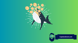 Wealthy Whale That Holds Mux Protocol Token: Investment History, Trades, Transactions