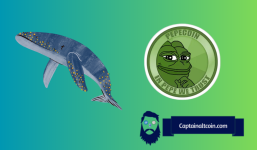 A Story of Pepe Whale: New Investment of Nearly $5 Million