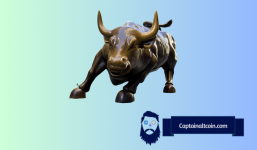 As Market Hits Bull Cycle, Learn Which Projects Investors Are Turning To