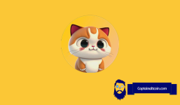 ChitCAT Price Explodes: Is This The Next Big Crypto Sensation?