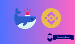Whale's $2.3 Million BNB Transaction: A Signal for Binance Coin?