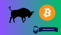 How Not to Lose Money in Bull Run?