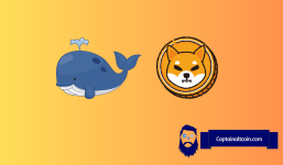 Unmasking the Mighty Whale: Inside the Intriguing World of $SHIB’s Largest Holder
