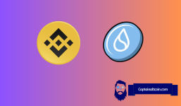 Binance Coin (BNB) Price Shows Signs of Recovery, SUI's Potential for a Future Upswing?