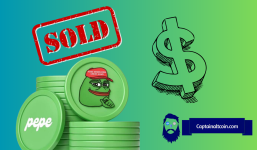 From $251 to $4.16M: How an Investor Turned Pepe Coins into a Fortune!