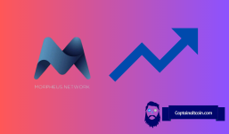 MNW: The Underdog Crypto Coin Making Big Moves in the Supply Chain Sector