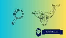 How to Find Crypto Whales Holding Your Assets?