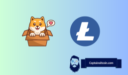 Shiba Inu (SHIB) Regains Momentum, Litecoin (LTC) With A Major Breakout on the Horizon?