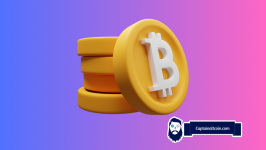 Bitcoin Analyst Lays Out Reason on Why BTC Could Do a Reversal to the Upside