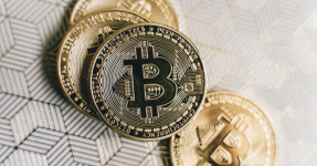 Cathie Wood is Optimistic that Bitcoin will Hit $1M – But $1000 in These Two Altcoins Will Make You a Millionaire Before That