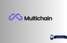 Multichain’s Cross-Chain Transactions Resume and The MULTI Token Skyrockets