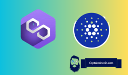 Polygon (MATIC) And Cardano (ADA) Prices Plunging: Here's Why